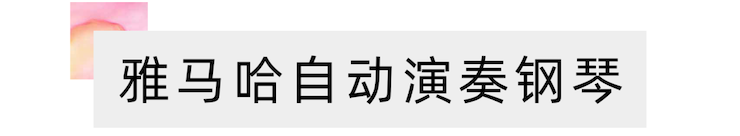 活动报道 | “科技助力，跨越时空”，小鹿纯子携手刘明康共享中日音乐盛宴